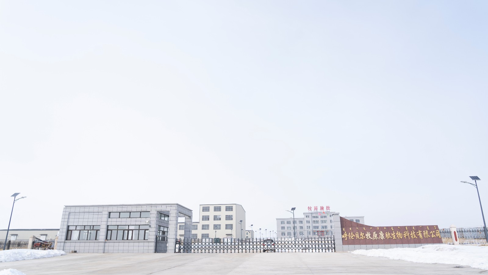 02c54d42-7f07-902a-b681-b872288c9f3b.jpg DSC09541.jpg