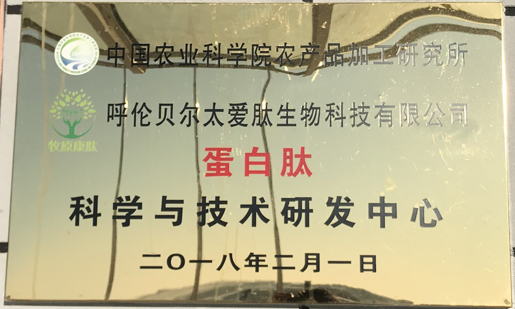 34d5c94b-0789-e1c0-04f4-10b0c4b2499a.jpg 0ec704e3f19cb8d6662523805f34aab_副本.jpg